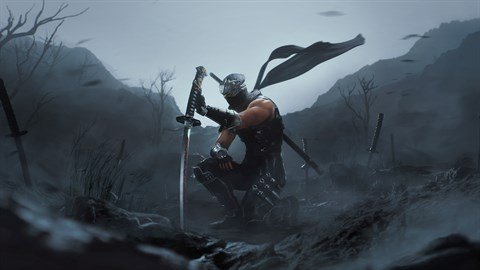Ninja Gaiden